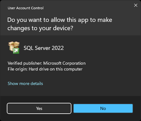 Microsoft SQL Server Express